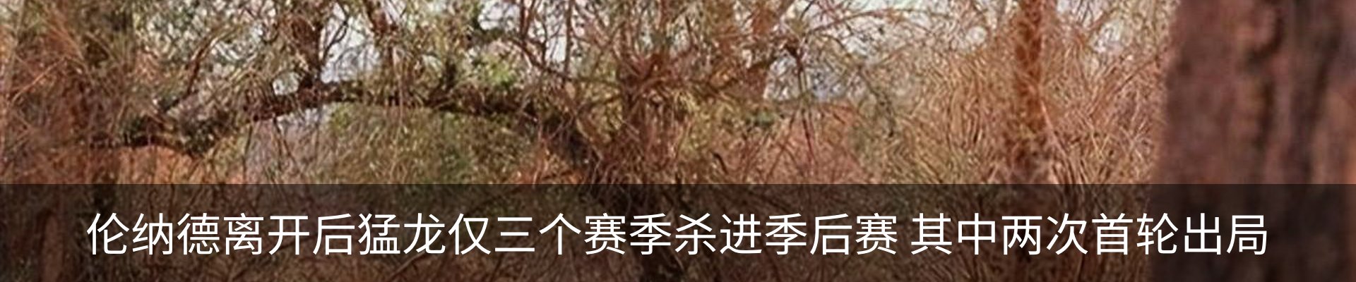新闻动态