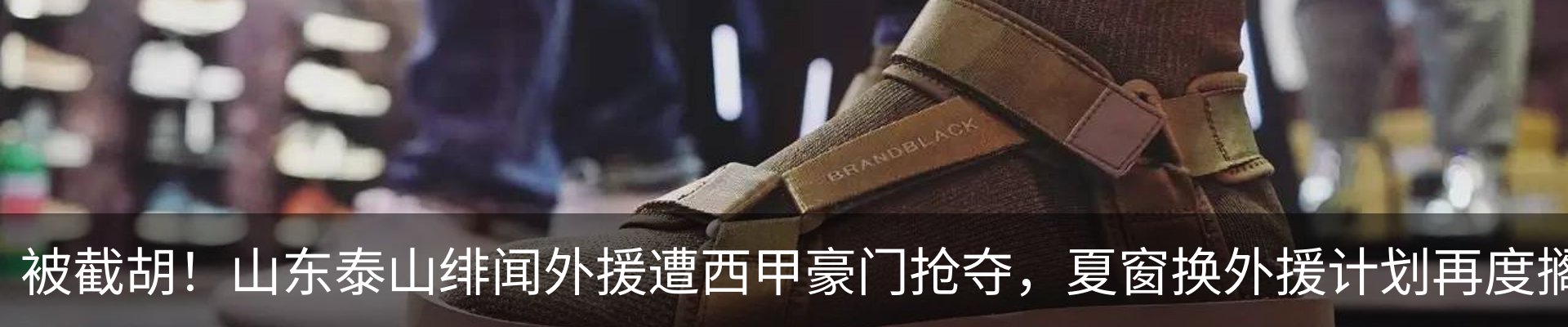 新闻动态