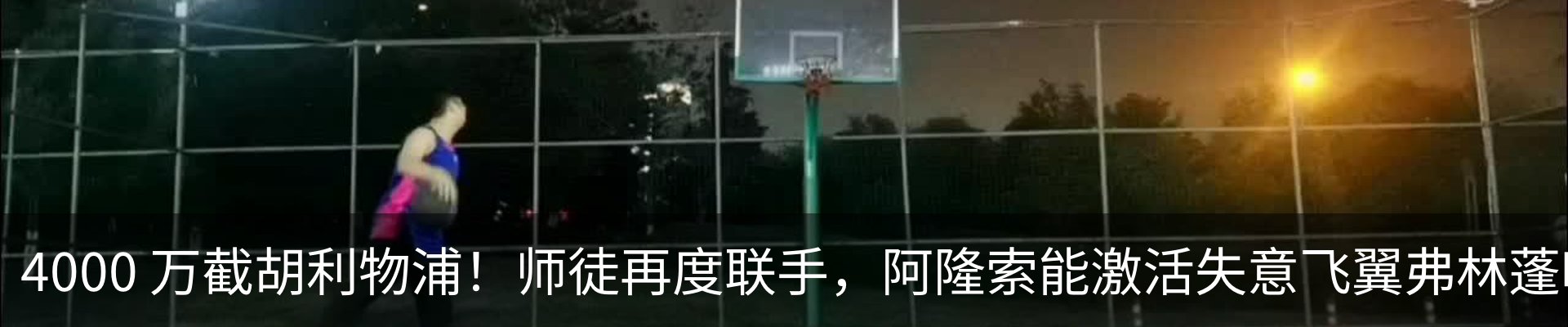 新闻动态