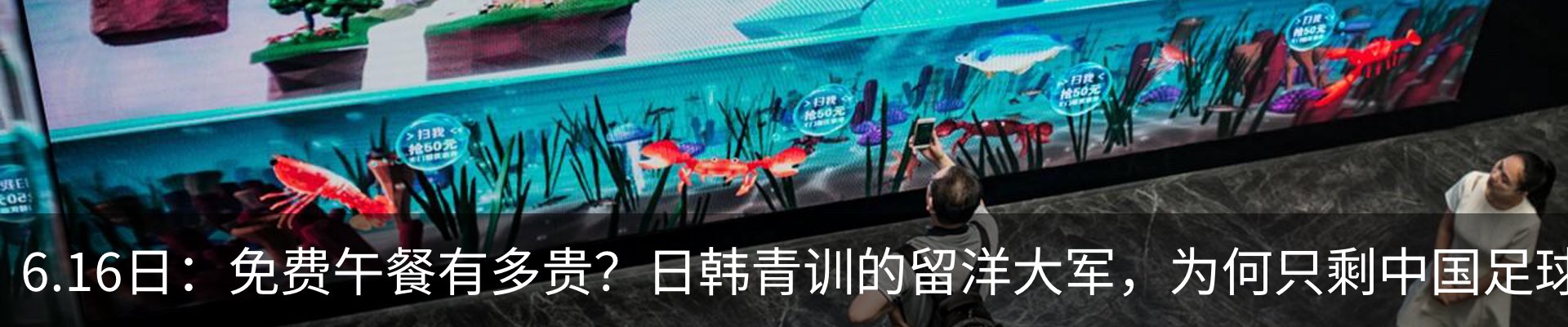 新闻动态